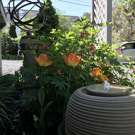 Dragonfly Guest House-3